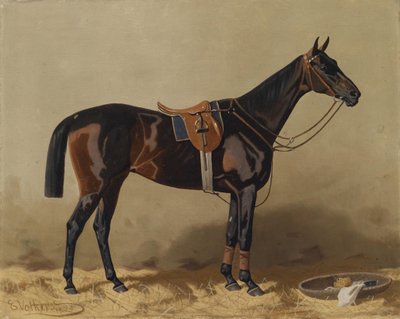 Gesatteltes Sportpferd von Emil Volkers
